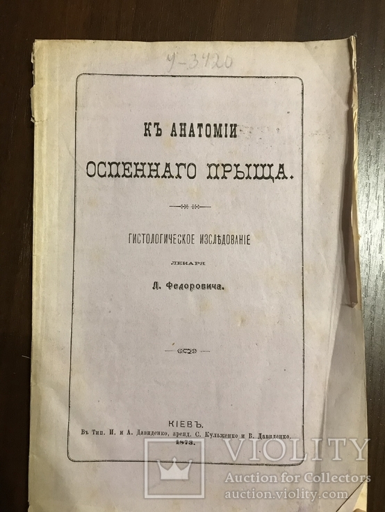1873 Гистология Анатомия Оспеннаго прыща, фото №2