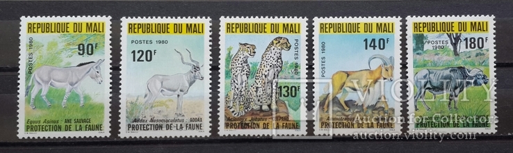 Мали. Фауна. 1980 год., фото №2