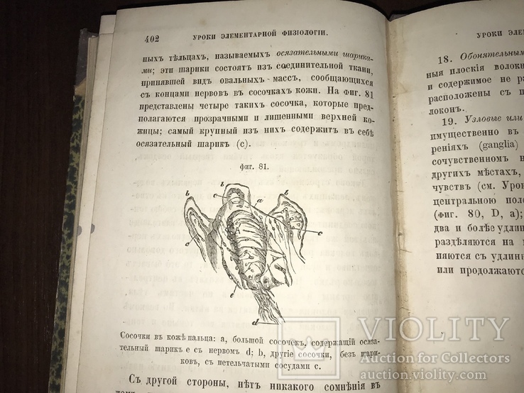 1867 Элементарная физиология Гексли, фото №13