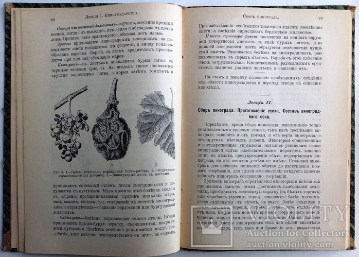 1911  Основы виноделия. Лялин Л. М., фото №8