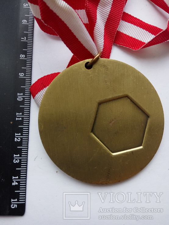 Швейцарская футбольная медаль 1979 года, фото №4
