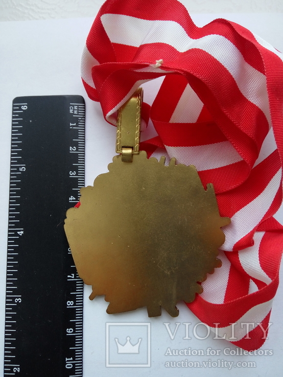 Австрийская медаль по лыжному спорту, фото №3
