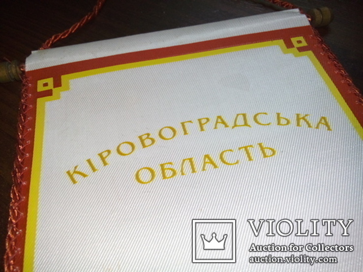 Вымпел Кіровоградська область (герб З добром до людей), фото №6