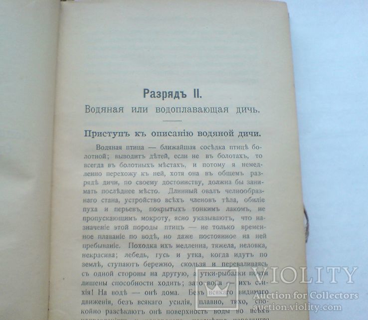 Записки ружейного охотника . Аксаков 1910 г., фото №8