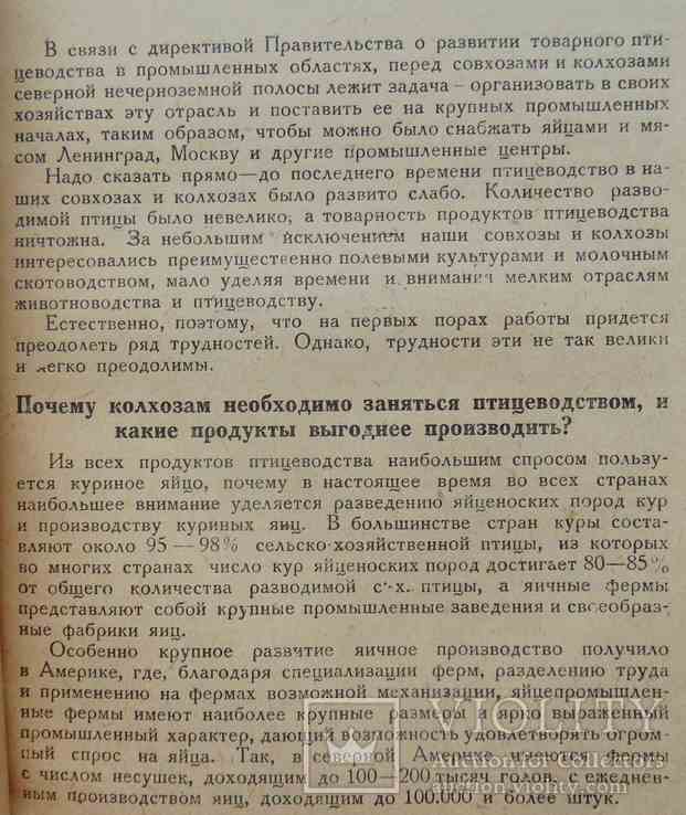 Яично-товарное птицеводство. Бойков В. 1930, фото №4