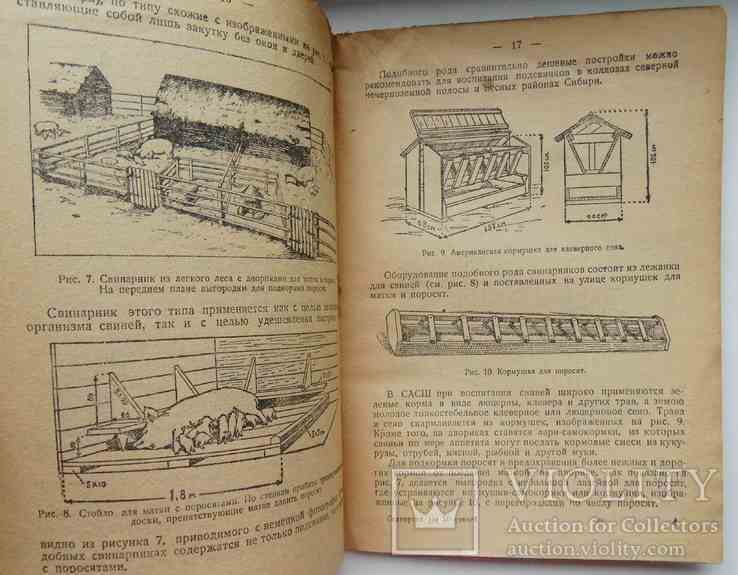 Свинарник на 50 голов. Бойков В. 1930, фото №4