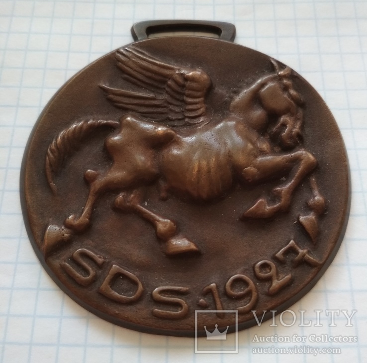 Медаль SDS 1927, фото №3