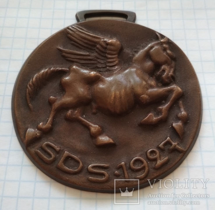 Медаль SDS 1927, фото №7