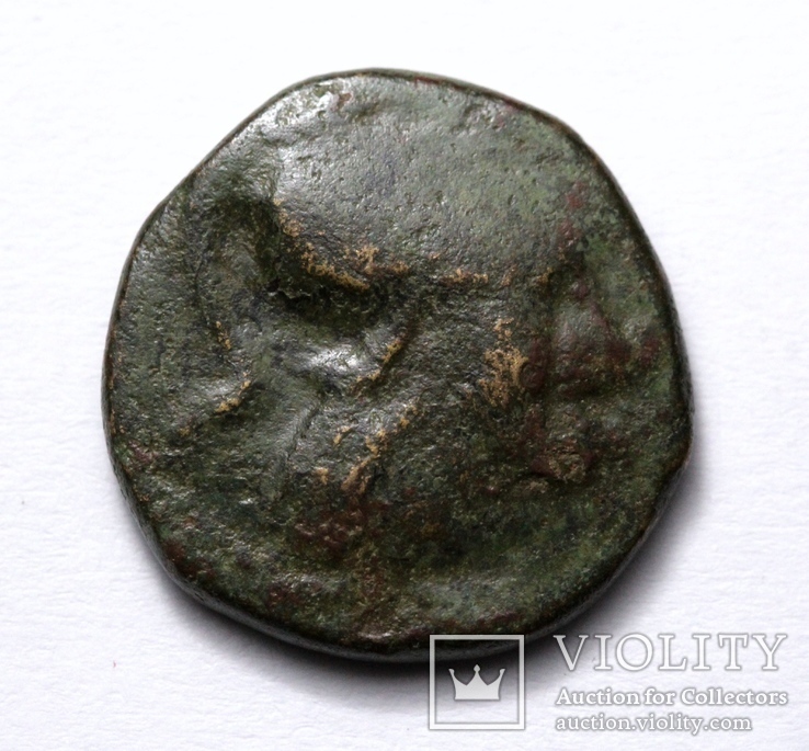 Македонське царство, Антигон ІІ Гонат, 274(3)-229 до н.е. – Афіна / Пан та трофей, фото №4