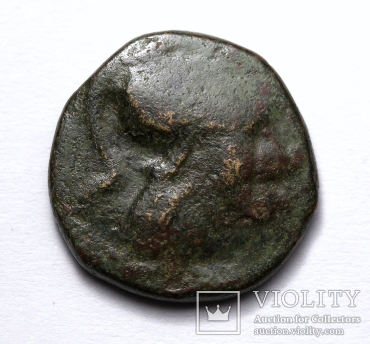 Македонське царство, Антигон ІІ Гонат, 274(3)-229 до н.е. – Афіна / Пан та трофей, фото №5