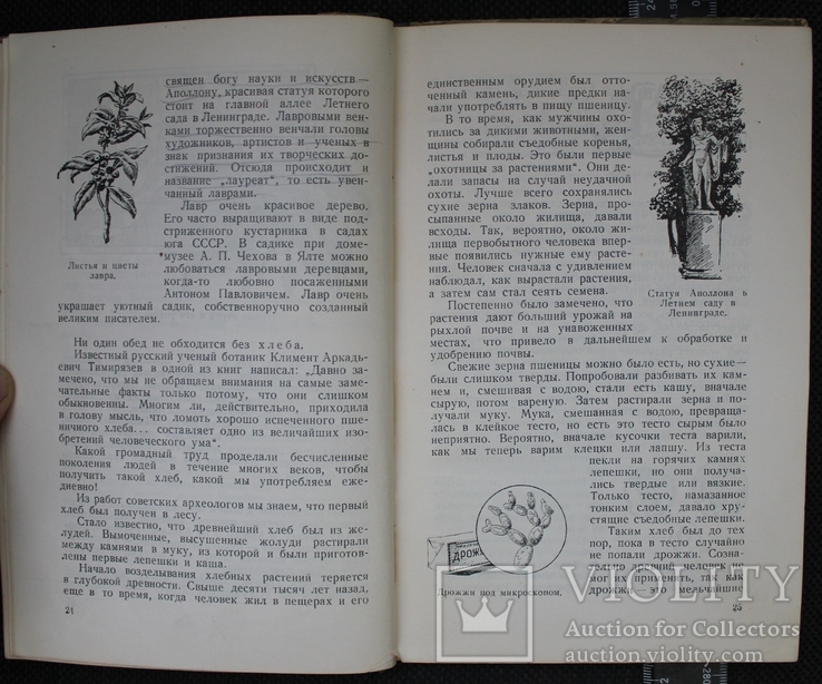 Н.Верзилин,,Растения в жизни человека,,1954р., фото №6