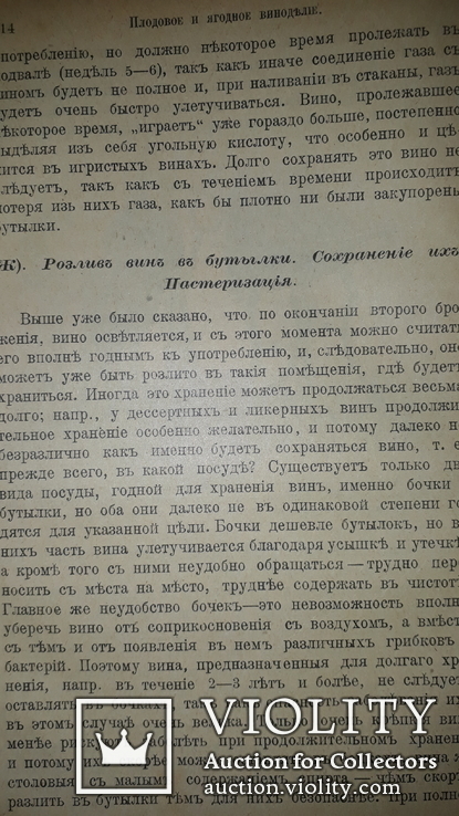 1908 Производство вин и приготовление консервов, фото №4