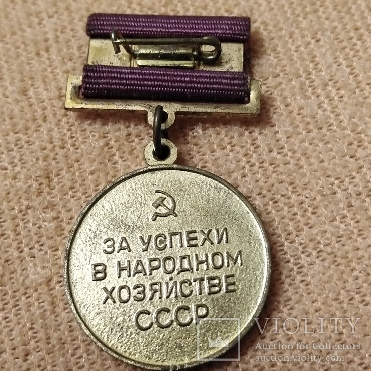 Медаль Выставка достижений народного хозяйства. За успехи в  народном хозяйстве СССР, фото №3
