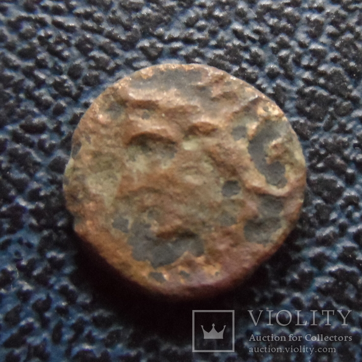 Монета   Ольвии  (,11.4.24)~, фото №2