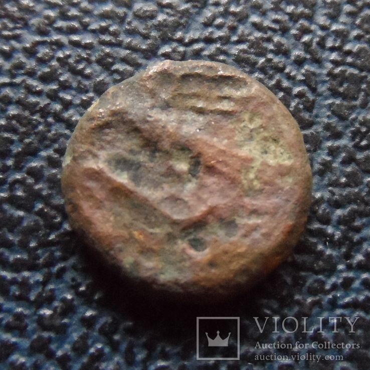 Монета   Ольвии  (,11.4.24)~, фото №4