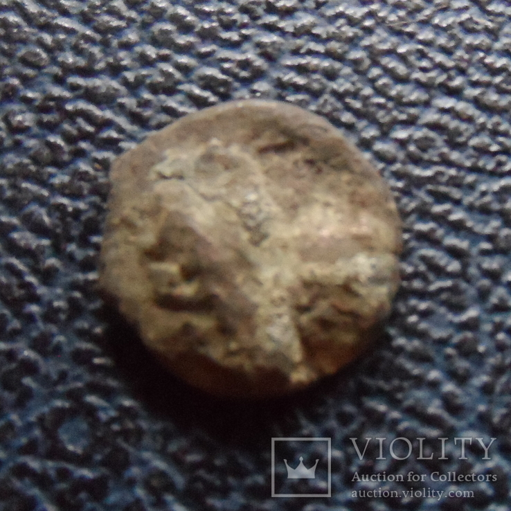 Монета   Ольвии  (,11.4.26)~