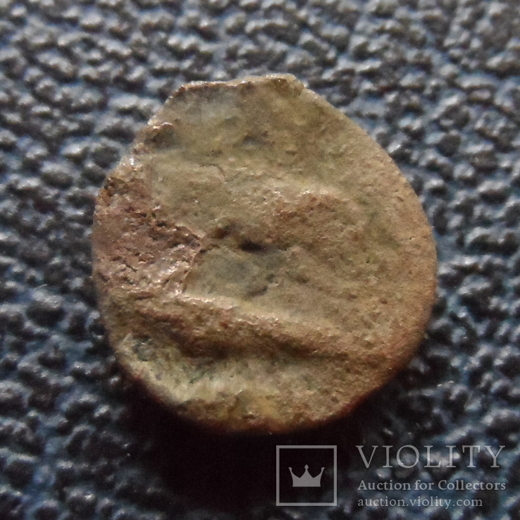 Монета   Ольвии  (,11.4.27)~, фото №2
