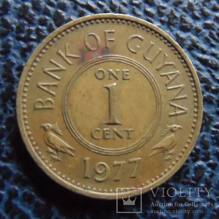 1 цент 1977  Гайяна   (,11.4.38)~, фото №3