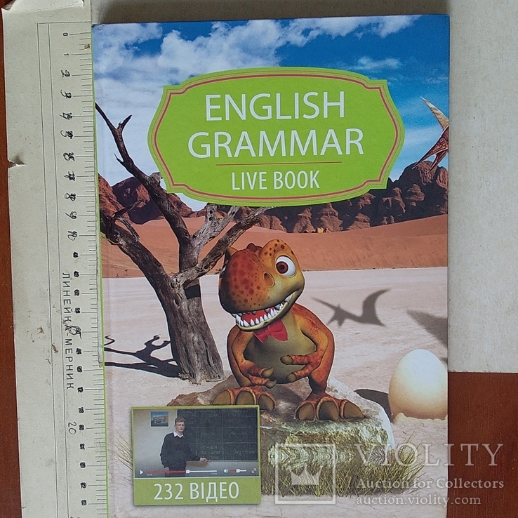 English grammar live book