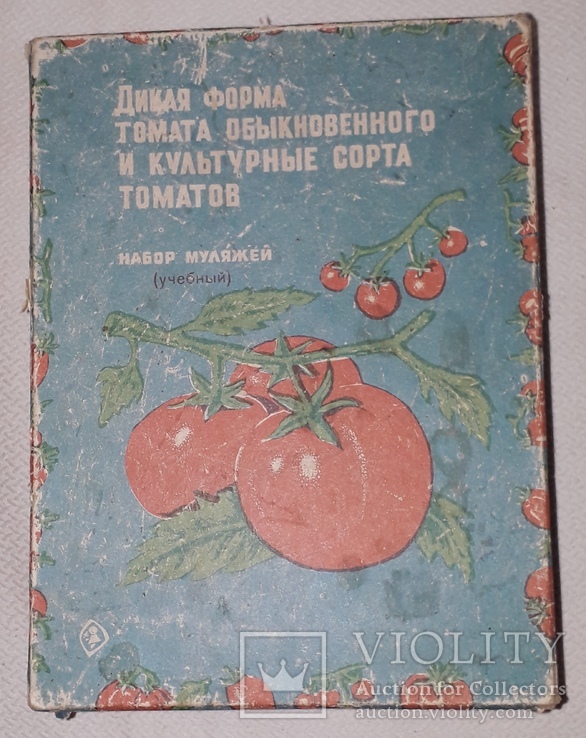 Набор Муляжей Томатов, времен СССР, Учебный, фото №6