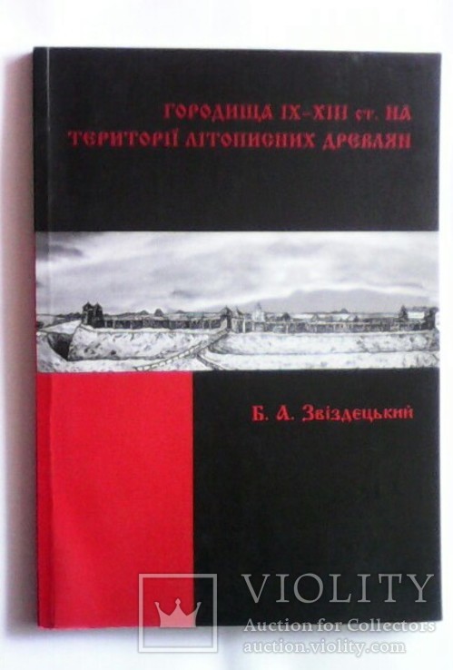 Городища ІХ-ХІІІ ст на території літописних дрєвлян 2008 р, фото №2