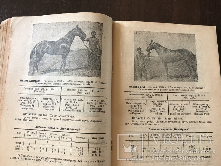 1938 Харьковский ипподром Большой украинский четырехлетний приз, фото №8
