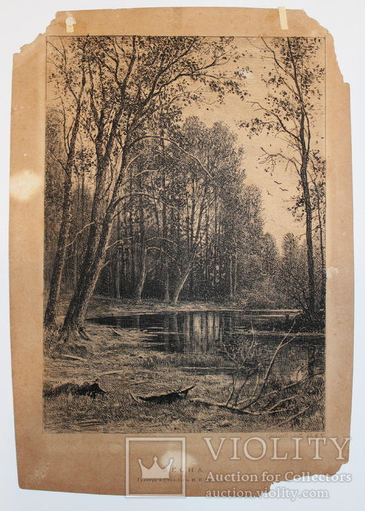 Шишкин И. И. "Весна". Оригинальный офорт. 1885 г., фото №8