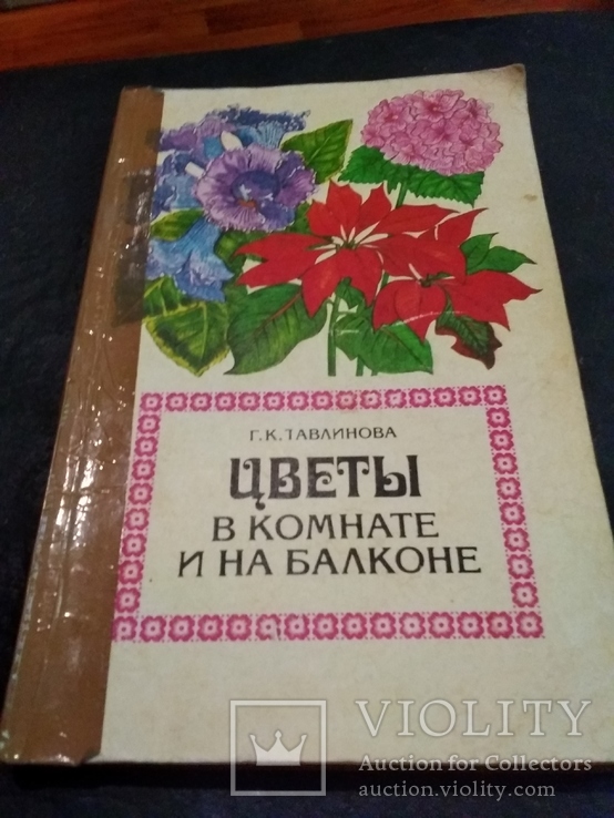 Цветы в комнате и на балконе, фото №2