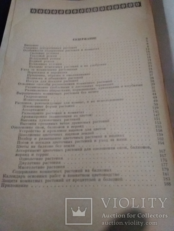 Цветы в комнате и на балконе, фото №6