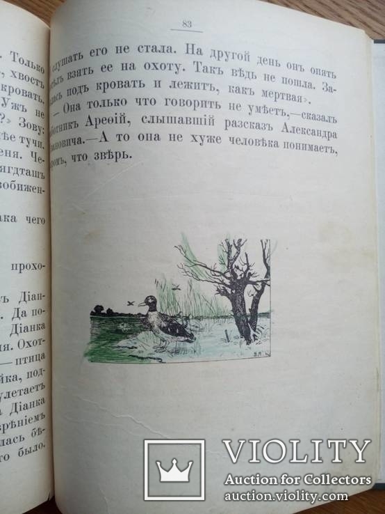 Как Юра знакомится с жизнью 1911г. Иллюстрации., фото №12