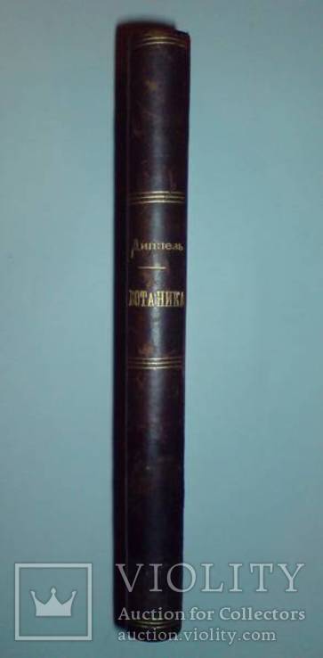 Ботаника 1859г. С 282 политипажами!, фото №3