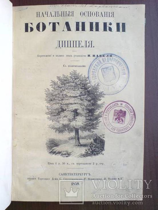 Ботаника 1859г. С 282 политипажами!, фото №4