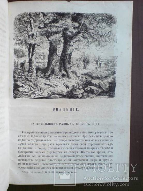 Ботаника 1859г. С 282 политипажами!, фото №5