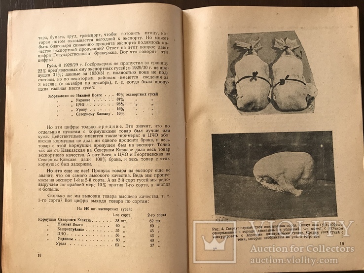 1932 За качество Экспортной битой птицы, фото №9