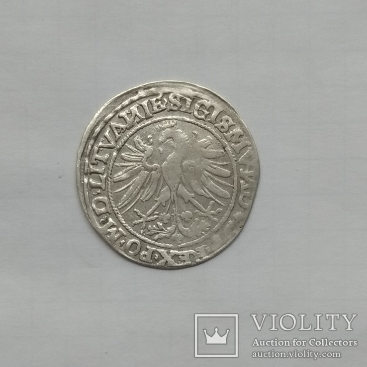 Литовський грош 1535р, фото №6