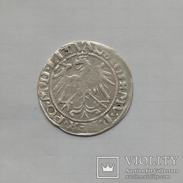 Литовский грош 1536р, фото №6