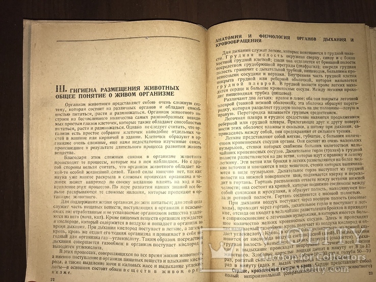 1932 Ветеринарная подготовка РККА, фото №6