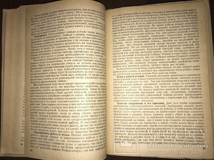 1932 Ветеринарная подготовка РККА, фото №10