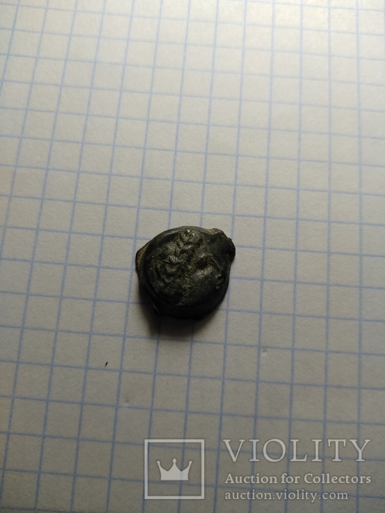 Монета Ольвии, фото №12