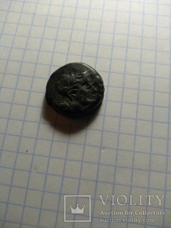Монета Ольвии, фото №9