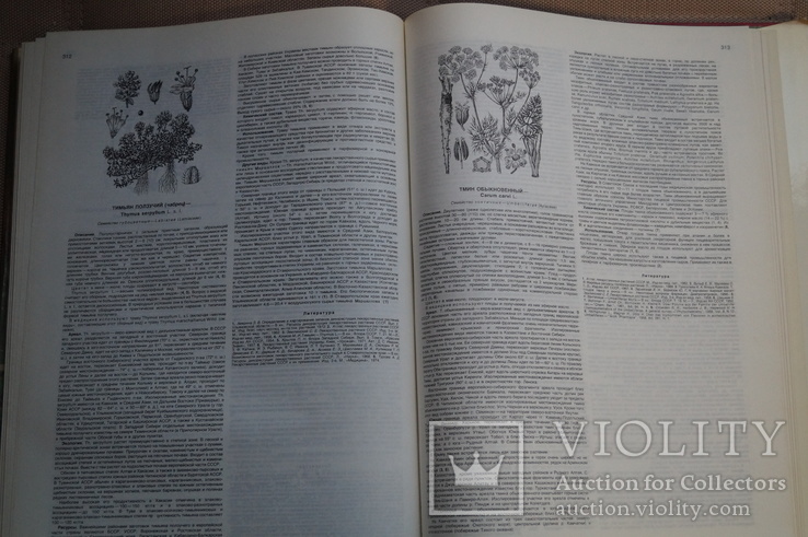 Атлас ареалов и ресурсов лекарственных растений СССР 1980 год., фото №6