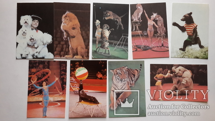 Коллекция карманных календариков "Цирк" 9 штук 1989г., фото №2