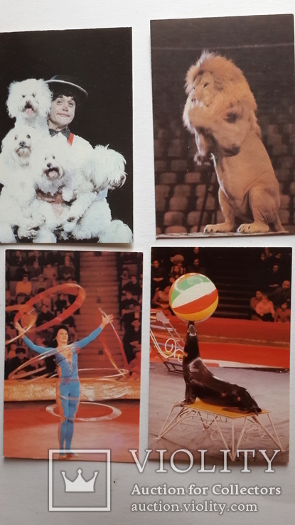 Коллекция карманных календариков "Цирк" 9 штук 1989г., фото №3