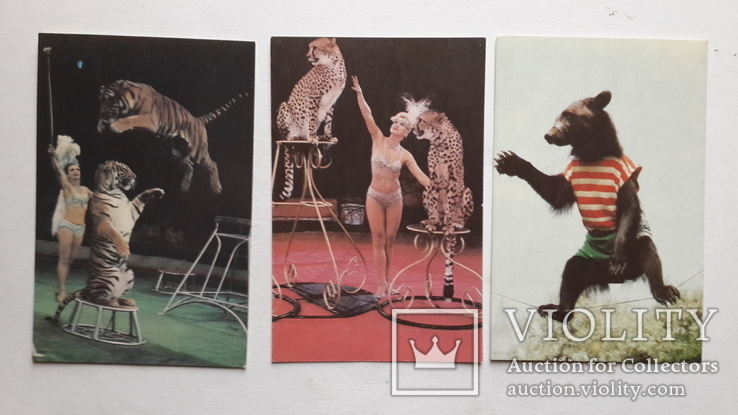 Коллекция карманных календариков "Цирк" 9 штук 1989г., фото №6
