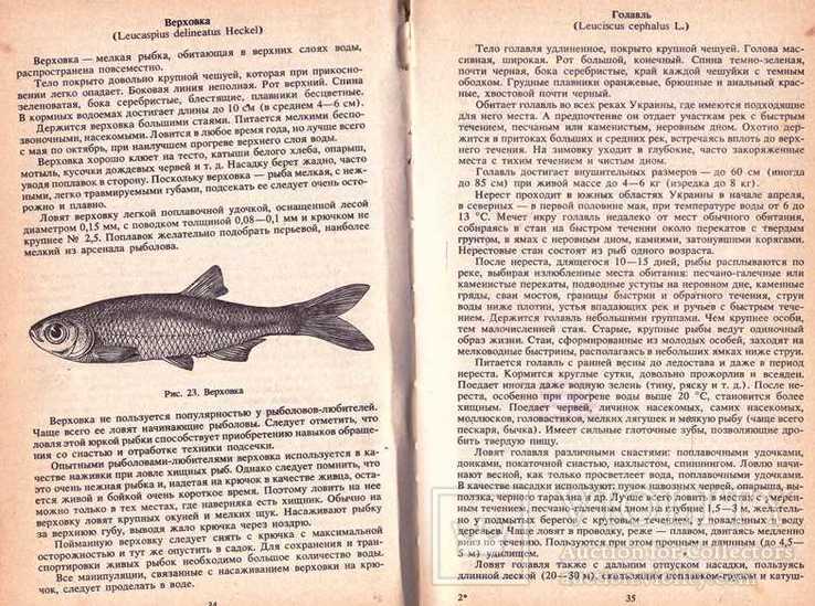 Настольная книга рыболова.1992 г, фото №5