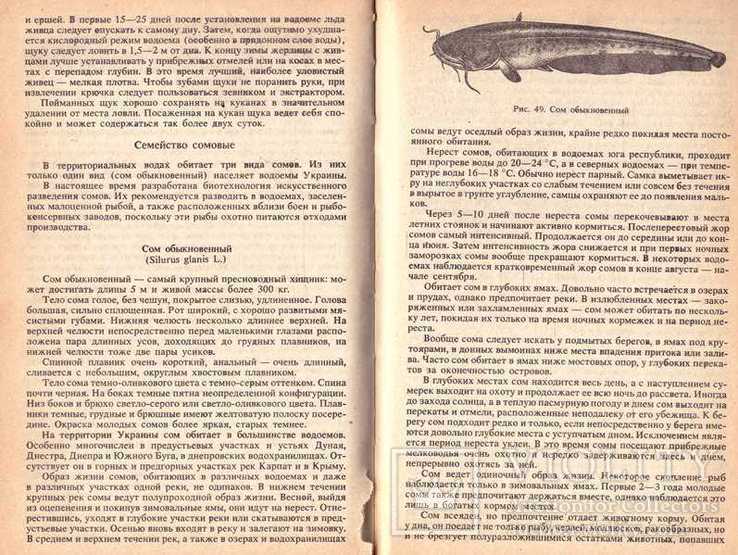 Настольная книга рыболова.1992 г, фото №6