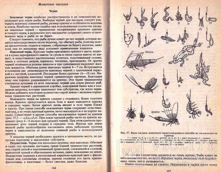Настольная книга рыболова.1992 г, фото №7