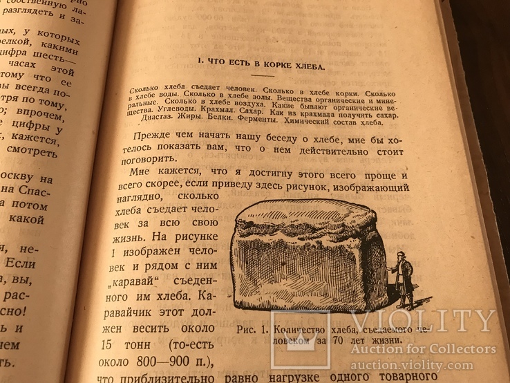 1927 Хлеб Корка хлеба в жизни человека, Никитинский