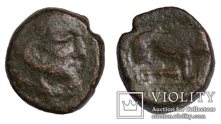 Македонія, м.Амфіполіс, 148-32/1 до н.е. – Геракл / лев (2), фото №2
