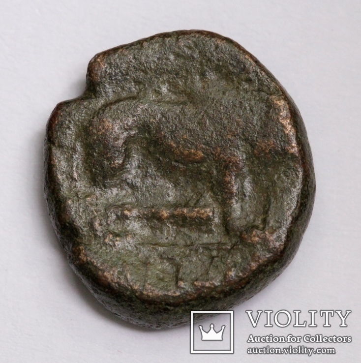 Македонія, м.Амфіполіс, 148-32/1 до н.е. – Геракл / лев (2), фото №4
